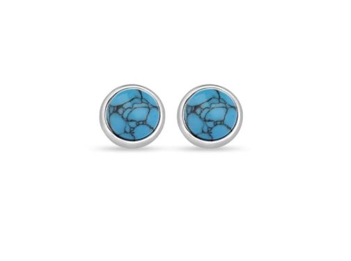 Pair of turquoise stone stud earrings on a white background